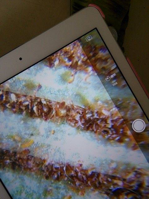 iPad黏顯微鏡_03
