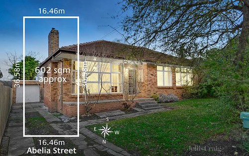 10 Abelia St, Forest Hill VIC 3131