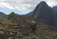 Peru (Machu Picchu) Perfectly constructed terasses for agriculture