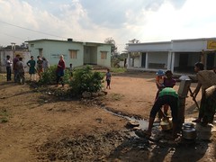 Planning school trees in village