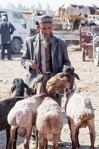 Kashgar Animal Market