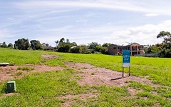 Lot 10, Eyrie Bowrie Drive, Milton NSW