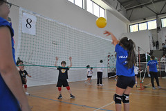 1° torneo Città di Celle Ligure - pomeriggio • <a style="font-size:0.8em;" href="http://www.flickr.com/photos/69060814@N02/17148930462/" target="_blank">View on Flickr</a>