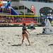 Ceu_voley_playa_2015_075 • <a style="font-size:0.8em;" href="http://www.flickr.com/photos/95967098@N05/18609744161/" target="_blank">View on Flickr</a>