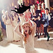 Bride Throwing Cat • <a style="font-size:0.8em;" href="http://www.flickr.com/photos/33127308@N02/18503698016/" target="_blank">View on Flickr</a>