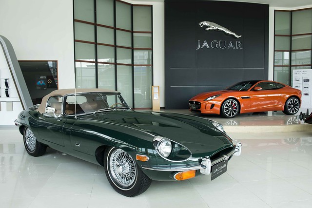 Jaguar-05