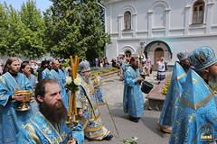 Commemoration day of the Svyatogorsk Icon of the Mother of God / Празднование Святогорской иконы Божией Матери (160)