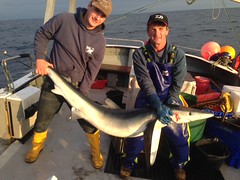 Picture of Lewis Hodder with 91lb Blue Shark • <a style="font-size:0.8em;" href="http://www.flickr.com/photos/113772263@N05/27954232584/" target="_blank">View on Flickr</a>