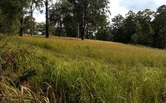 Lot 48 Upper Coomera Road, Witheren QLD
