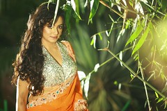 South actress Madhu Chanda Photos Set-1-Hot In Saree (17)