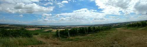 Panorama Rheinhessen
