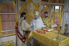JPR_4435_новый размер