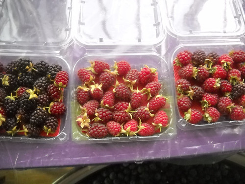 Tout Berry Assorted Berries May 22, 2015