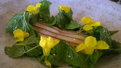Hvide asparges, solbær blade og byg