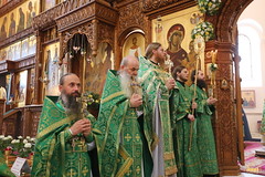84. St. John, recluse of Svyatogorsk Monastery / Прп. Иоанна Затворника