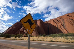 beware of kangaroos