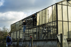 Rénovation de la serre en janvier 2015